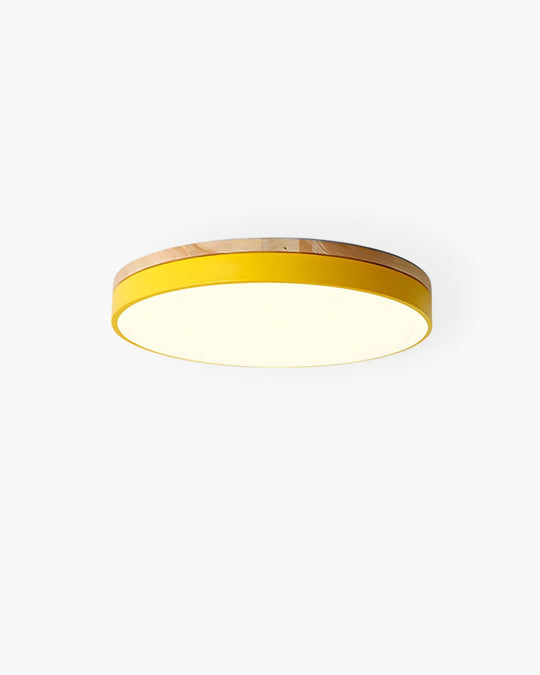 Modern Ceiling Light - Wood & Coloured Accent