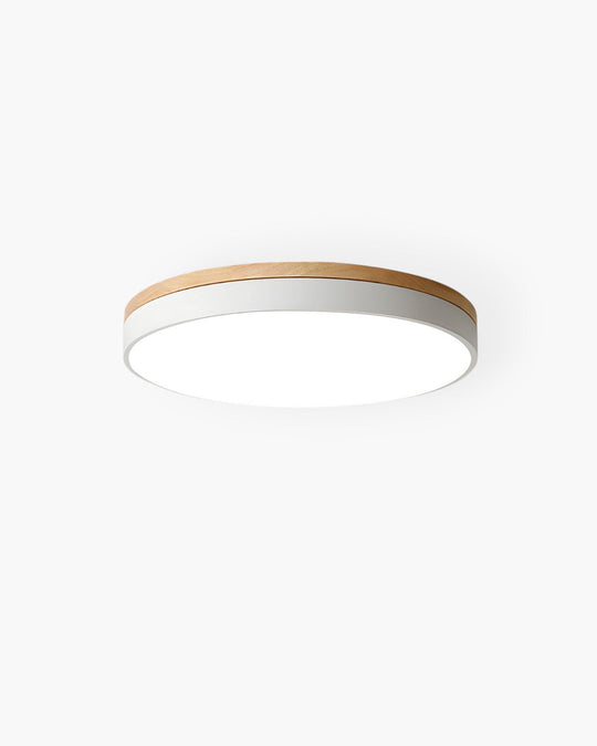 Modern Ceiling Light - Wood & Coloured Accent