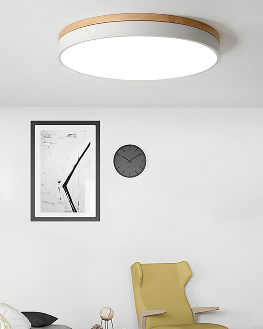 Modern Ceiling Light - Wood & Coloured Accent