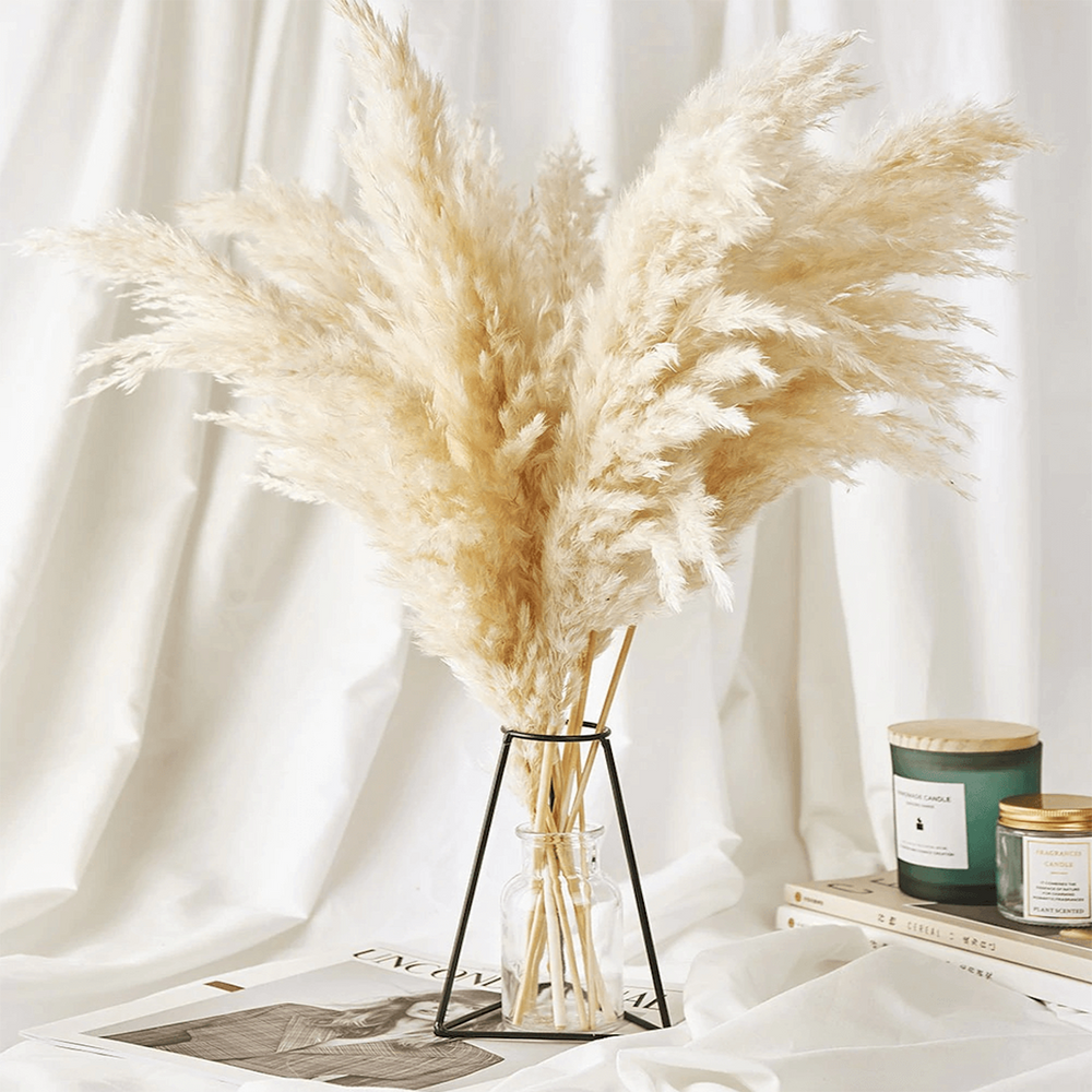 Natural Dried Pampas Grass Bouquet – 10 Fluffy Stems for Elegant Dried Flower Arrangements and Home Decor