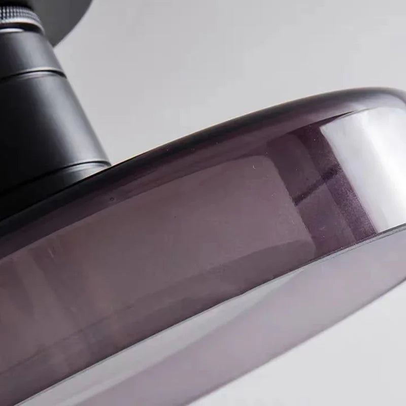 Modern LED Wall Lamp with Clear and Gray Glass Shades – Stylish Wall Sconces for Ambient Lighting