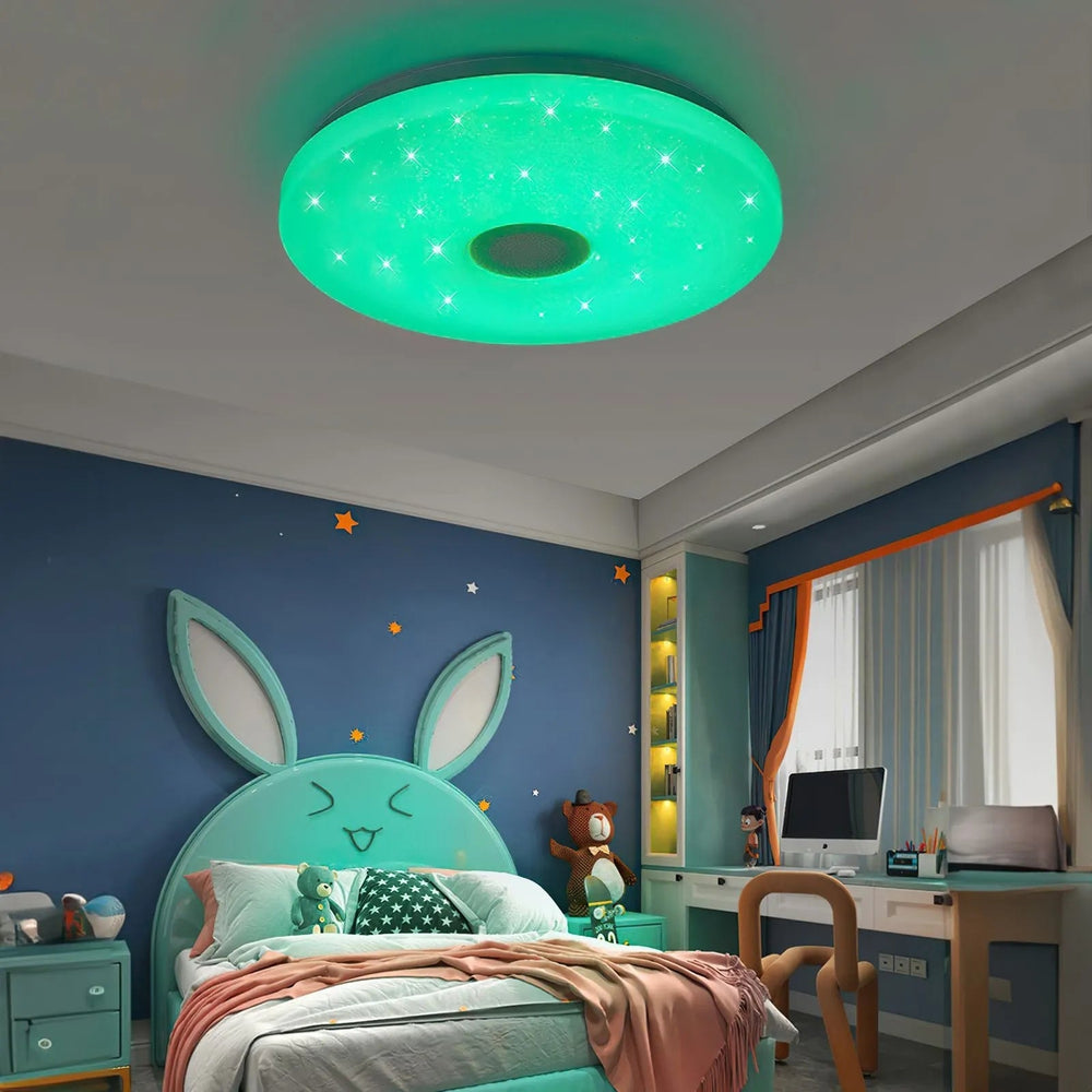 Smart RGB LED Ceiling Lights with Remote Control – Adjustable Lighting for Home Ambiance, Energy Efficient, 26cm/33cm