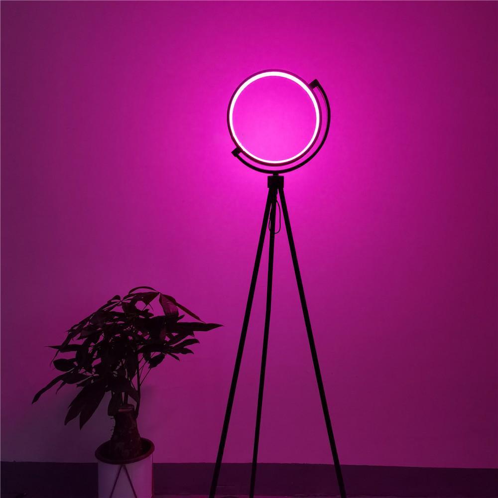 Modern Floor Lamp with Circular LED and Onyx Finish – Stylish Standing Lamp for Living Room and Office