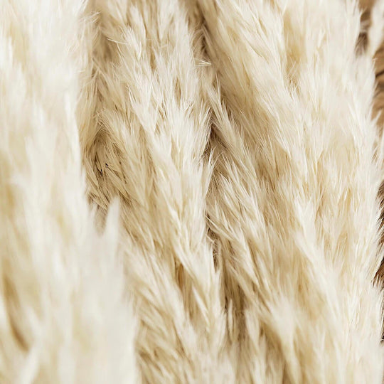 Natural Dried Pampas Grass Bouquet – 10 Fluffy Stems for Elegant Dried Flower Arrangements and Home Decor