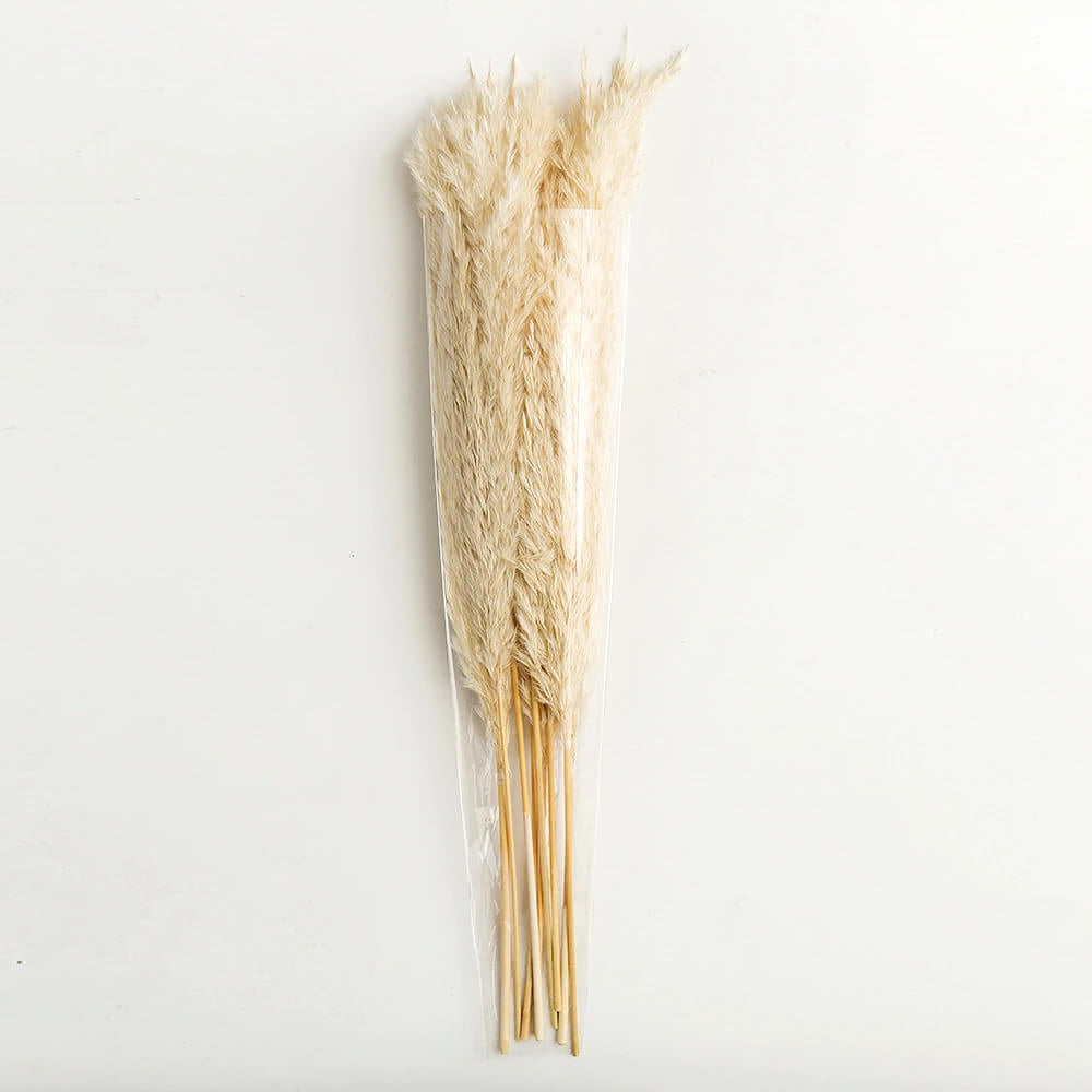 Natural Dried Pampas Grass Bouquet – 10 Fluffy Stems for Elegant Dried Flower Arrangements and Home Decor