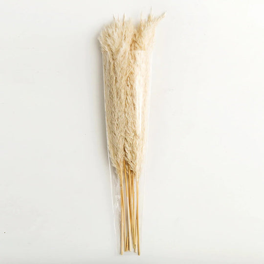 Natural Dried Pampas Grass Bouquet – 10 Fluffy Stems for Elegant Dried Flower Arrangements and Home Decor